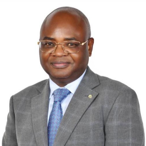 Hon. Prof. Kitila Mkumbo
